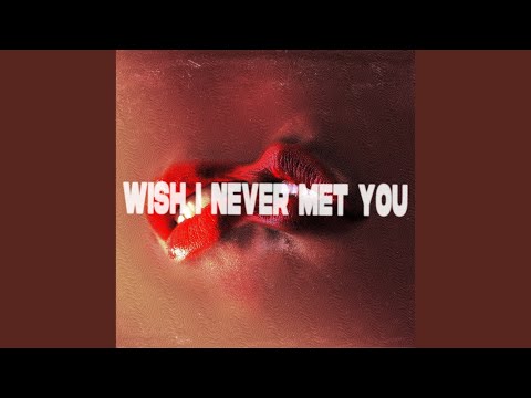 Wish I Never Met You