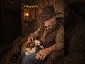 A Dog’s Life (copyright Paul Flaherty 12/2/2026)