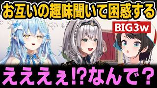 お互いの趣味聞いて困惑するBIG3＆異名について【ホロライブ切り抜き/大空スバル/雪花ラミィ/白銀ノエル】