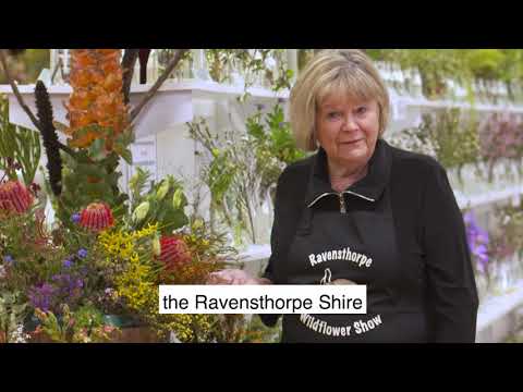 Ravensthorpe Wildflower Show