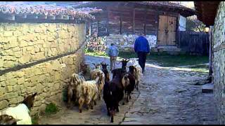 preview picture of video 'Rural Bulgaria'