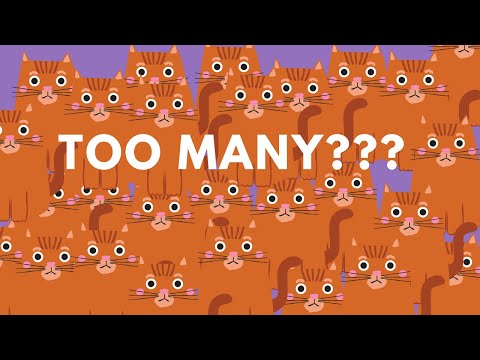 3rd YouTube video about how many cats can you have in your home legally