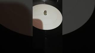 Francois Sanders - Love You
