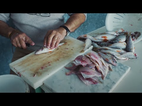 Varnish La Piscine - Topic