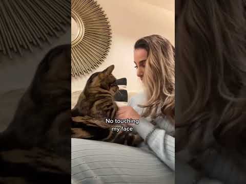 WATCH HOW CLINGY MY CAT BECOMES…🥰 #shorts