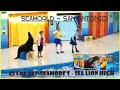 Clyde And Seamore Sea Lion High Seaworld SA 4K