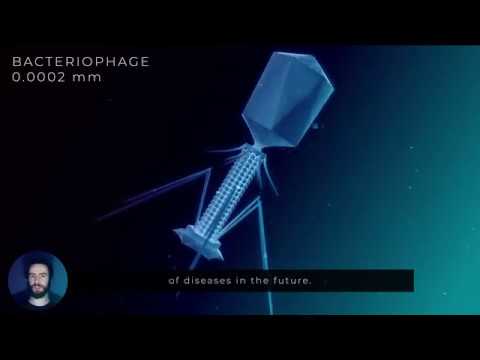 The Microcosm in Glass: Viruses, Bacteria and Cells