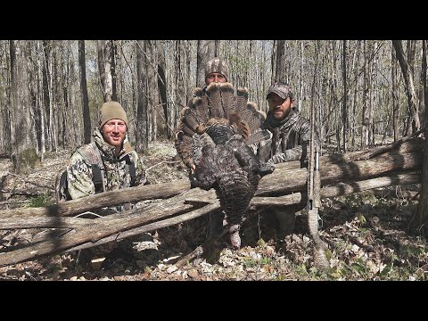 Public Land Turkey Hunting - Fired Up Gobblers in the Woods (Crazy Audio)