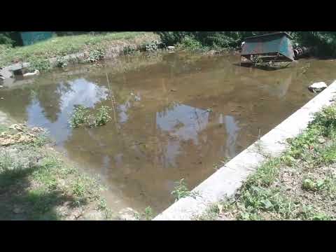 Shalimar Garden Mughal Jahangir's water source origin#shrinagar‎@HotelsTravelsHistory 