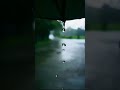Rimjhim Gire Sawan ️ Trending Art Viral Ytshorts Status Zindagi Kishorekumar Rain Love Song