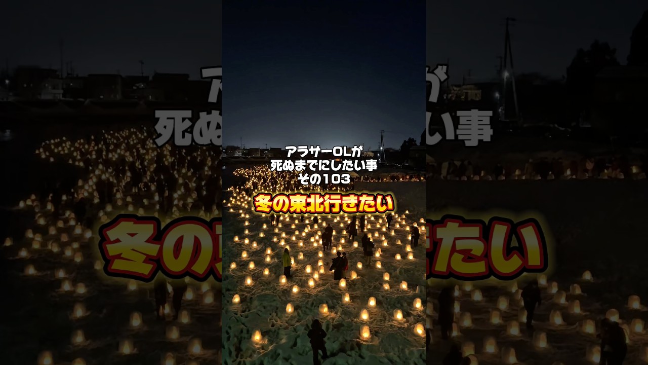 今回のやりたい事✍冬の東北行きたい！東北の雪まつりがサイコーだったザマス✨絶対スーツケースは持ってかない。