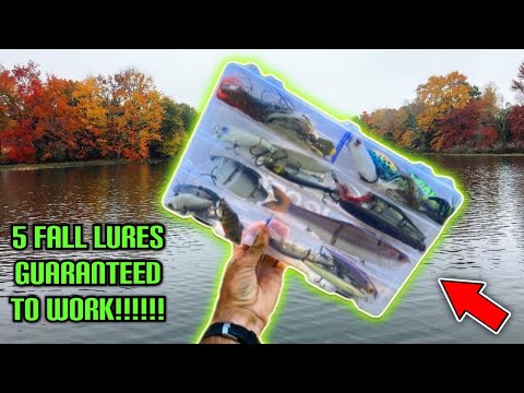 5 Bass Lures GUARANTEED To Get Bit This FALL!!!!