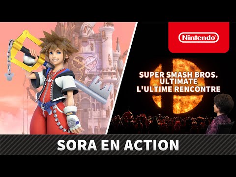 Sora en action (Nintendo Switch)