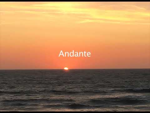 Ernest Bloch Trois Nocturnes    Pallas Trio 1982