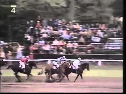 91. Velká pardubická steeplechase - 1981