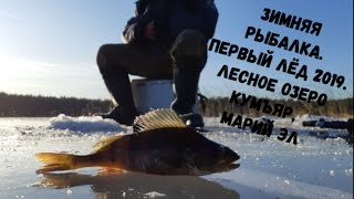 Отчет о рыбалке в марий
