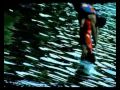 Djarum Super Bungee 2002