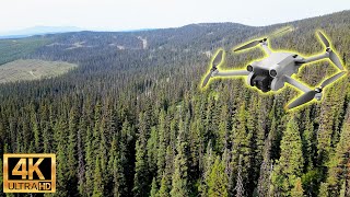 Engelmann Spruce-Subalpine Fir Forest (ESSFwc3) - 4K Drone Flythrough