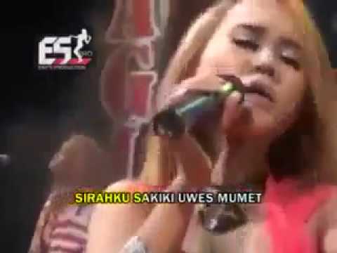 Eny Sagita Aku Rapopo Dangdut Koplo Terbaru 2015 Mp4
