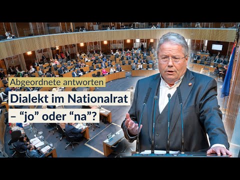FAQ mit Abgeordneten: Dialekt im Nationalrat?