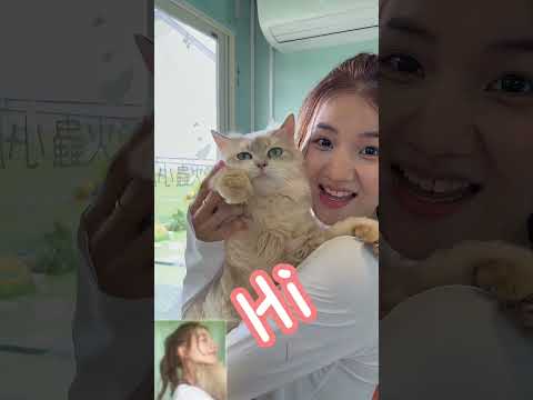 艾莉-網紅與善的距離 - 第2集《貓狗知道》投票區
