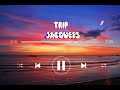 Jacquees - Trip || Lyrics || Trip Trip Tripping on you