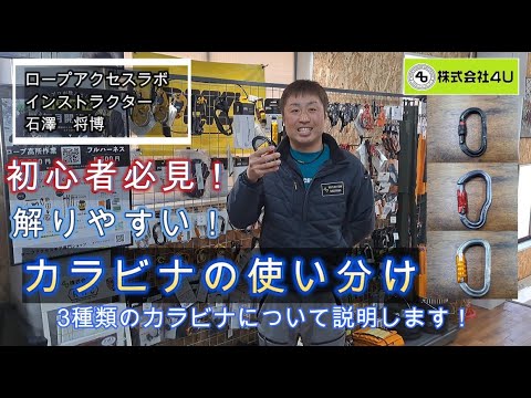 シロハラゾステロープについて詳しく解説