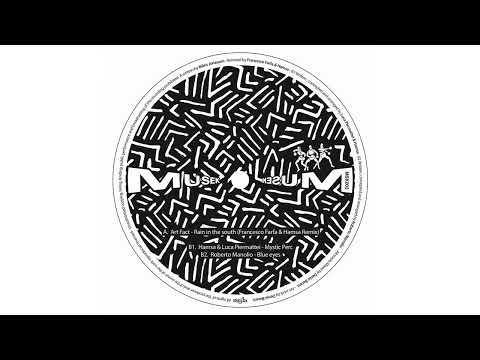 Art Fact - Rain In The South (Francesco Farfa & Hamsa remix) [MUSEK03]