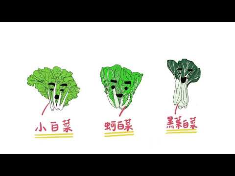 有機蔬菜產地到餐桌(第三集：白菜家族)