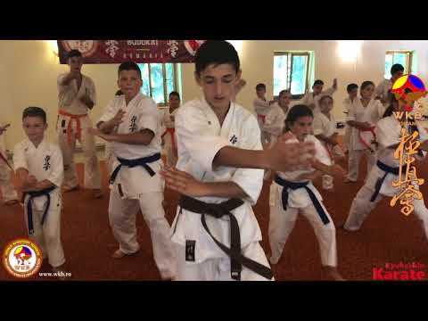 Examen de grad SPIRIT DOJO 10.08.2017