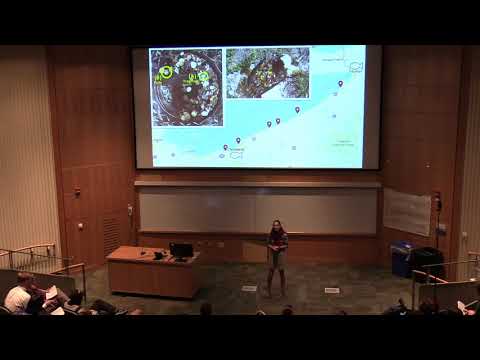 Leah Weaver - 2018 Three Minute Thesis Competition