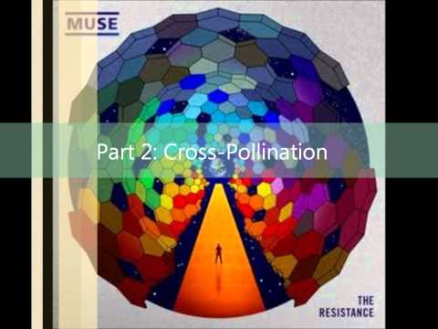 Muse - Exogenesis Symphony Full