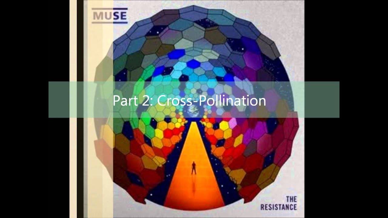 Muse - Exogenesis Symphony Full - YouTube