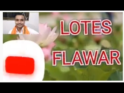 Lotus beautiful Flowers & Relaxing Music,smiley music