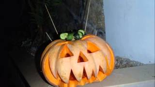 preview picture of video 'Halloween in Sonas Alpina Hotel.Turkey Alanya Mahmutlar'