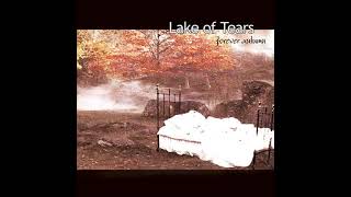 The Homecoming  Lake of Tears