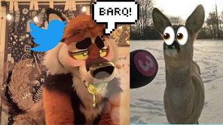 Furry Twitter Is...