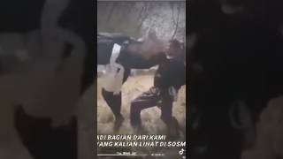 Download lagu PSHT JAMAN DULU mp3