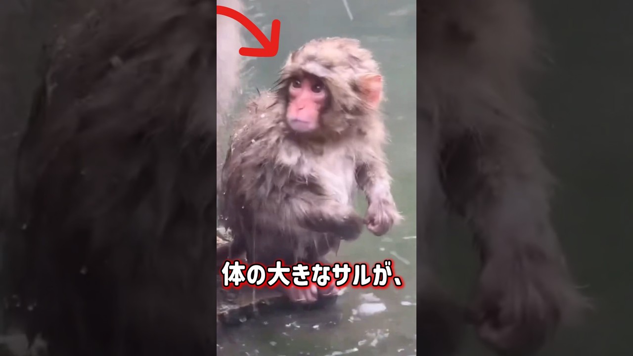 寒い冬の日のパンチ