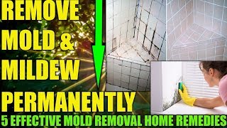 HOW TO GET RID OF MOLD & MILDEW ON WALLS PERMANENTLY - REMOVE MOLD FROM BATHROOM SHOWER TILES NOW