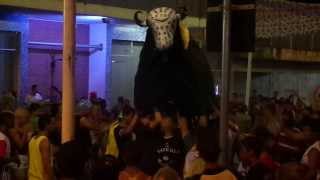 preview picture of video 'Carnaval de Porto Ferreira 2014 Bloco do Boi Caveira Negra'