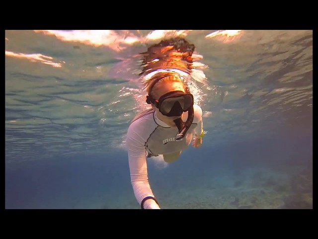 Scuba Diver Girls Snorkeling, Captain Don's House Reef, Bonaire, PRETTY!!!