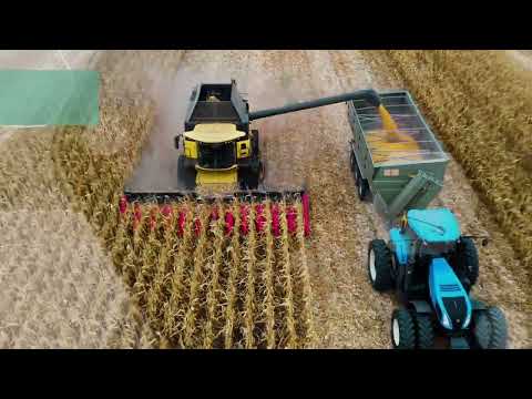 Utrisha N - Recolte de calitate