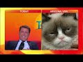 News anchor can't stop laughing at cat dew to cat serious face