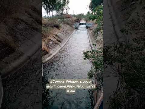 #youtube short# viral#Junnar#Meena shakha Right Canal, Beautiful water flow.
