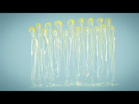 Marin Sorescu - Rugăciune