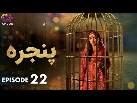 Pakistani Drama | Pinjra - Episode 22 | Aplus Gold | Yumna Zaidi, Nauman Aijaz | CZ1O
