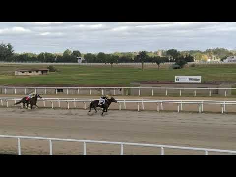 Honra Real en el OSAF