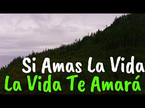 Consejos Que Te Llegaran al Alma ¦ Reflexiones de la Vida