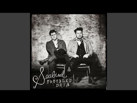 Golden Skies - Seabird